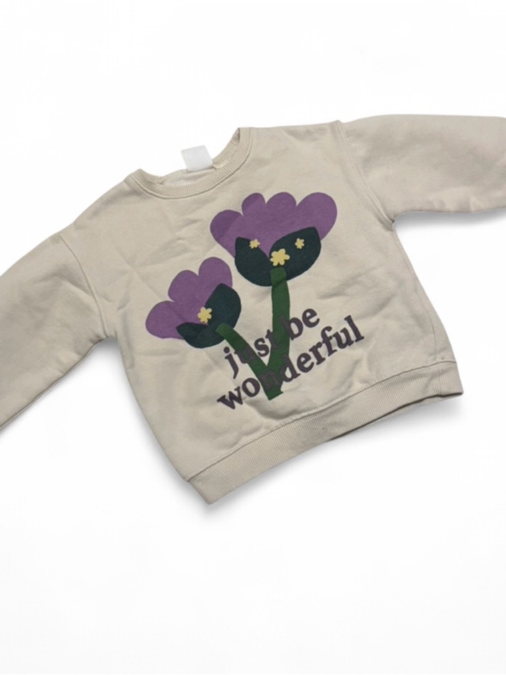 Zara Girls Beige Flower Sweatshirt